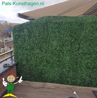 Buxus balkonscherm