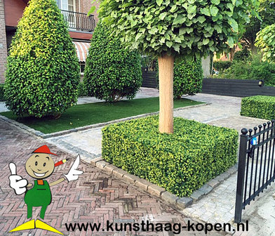 artificial Boxwood hedge