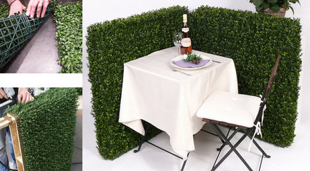 artificial Boxwood hedge