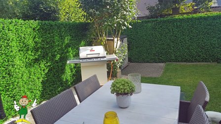 Buxus kunsthaag tuinafsluiting