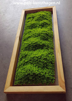 artificial Reindeer Moss