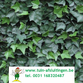 www.tuin-afsluitingen.be