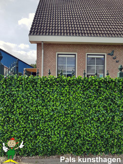 Privet artificial hedge