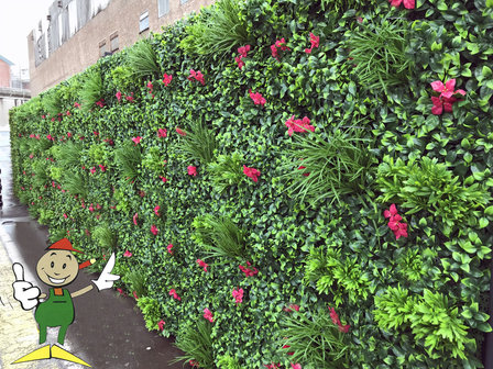 green wall