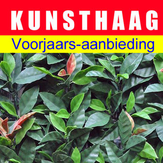 Kunsthaagvoordeel