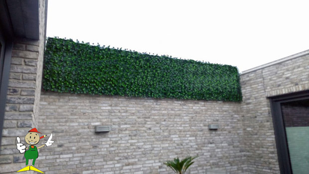 Artificial ivy hedge