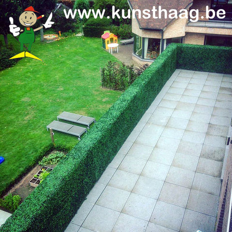 buxus kunsthaag als terrasafsluiting