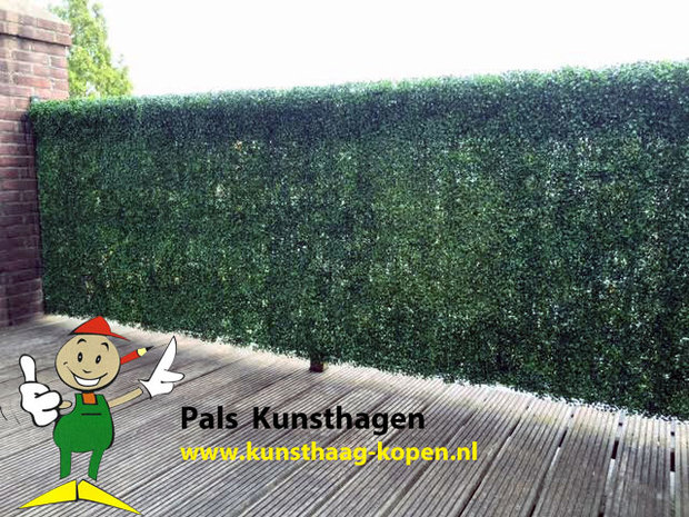 Buxus kunsthaag