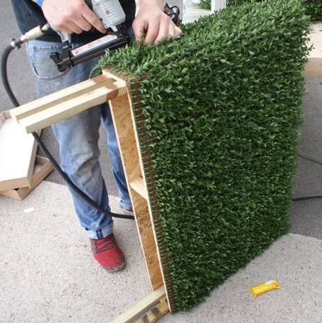 artificial Boxwood hedge