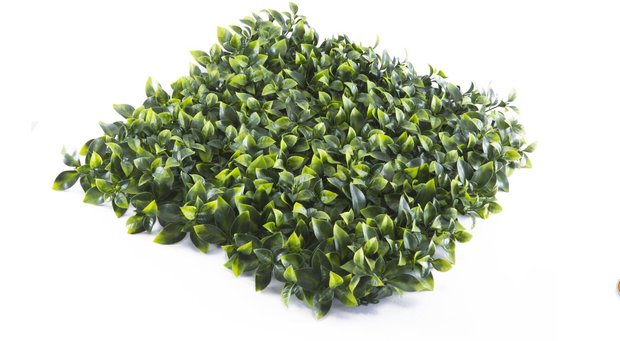 Privet artificial hedge