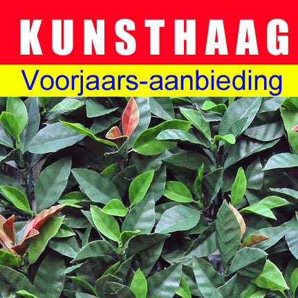 Kunsthaagvoordeel