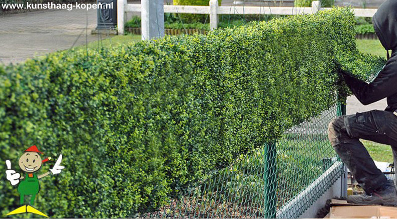 Künstliche Hecke installieren