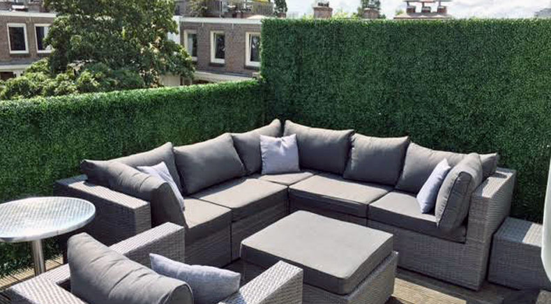 Buchsbaum kunsthecke als Terrassenschirm