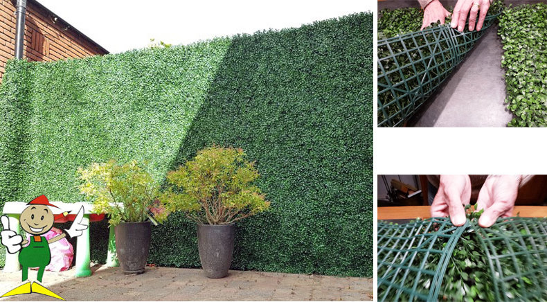 Buxus tuinafsluiting