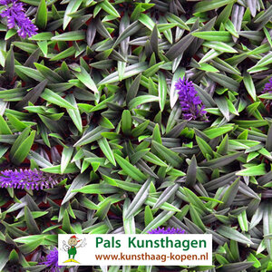 Liliengras kunsthecke