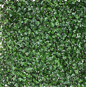 Buxus fijn kunsthaag