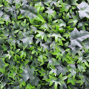 Hedera Helix kunsthaag 50 x 50 cm