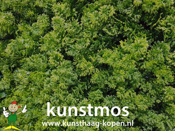 kunst Bosmos - Kunsthaag 