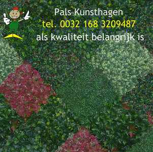 kunsthaag proefstukje