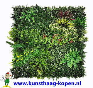 Kleurrijke Jungle plantenwand