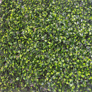 Liguster kunsthecke